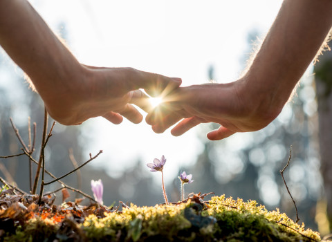 Escuela Reiki